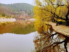 -北岭山森林公园