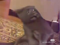 -可颂坊(中心书城店)