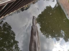 -海南热带野生动植物园