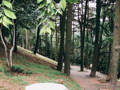 -观象山公园