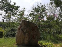 景点-大槐树寻根祭祖园