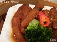 紫金蒸风爪-御花园·粤菜·海鲜火锅(中山公园店)