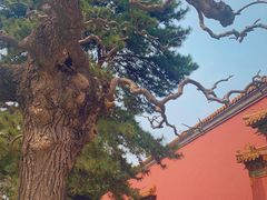 -北京市劳动人民文化宫(太庙)
