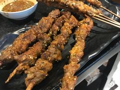 红柳羊肉串-羊肉街口老银川滩羊涮肉馆