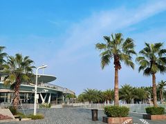 -大梅沙海滨公园