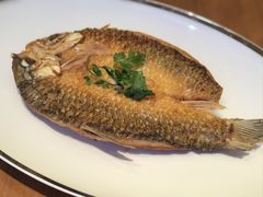 -广州富力君悦大酒店空中花园