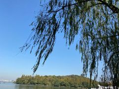 -西湖外事游船(花港观鱼码头)