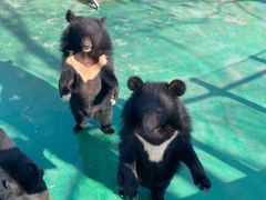 -西安秦岭野生动物园