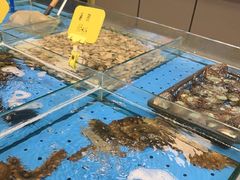 -黑石礁酒楼·海鲜(黑石礁店)