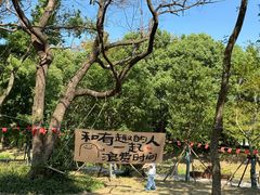 -长兴太湖图影湿地文化园