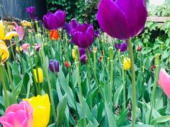 -斯多格书乡(北京大学畅春园店)