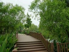 -长兴太湖图影湿地文化园