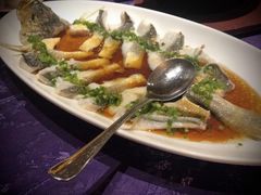 WT清蒸小龙趸-惠食佳·朱雀(东方商厦店)