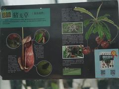 -国家植物园南园