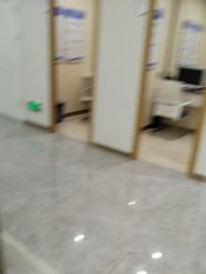 -碧莲盛·不剃发植发