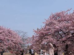 -上海辰山植物园