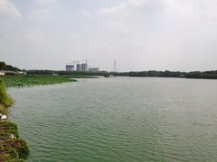 -大兴滨河森林公园