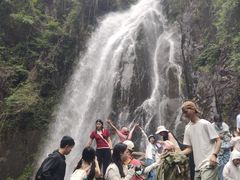 -姑婆山旅游区