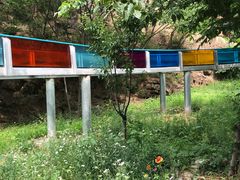 -十渡东湖港风景区