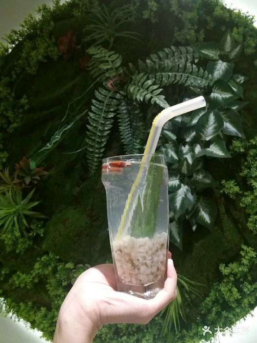 sayang香草和香料东南亚餐厅香兰叶薏米水图片 - 第2张