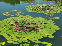 -国家植物园南园