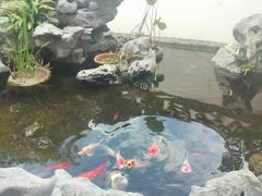 -道南書院·私房菜·早午茶·茶馆