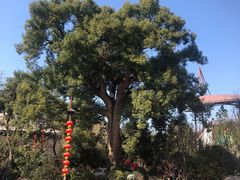 -杭州宋城