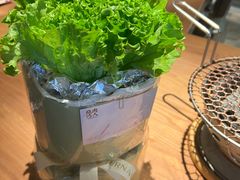 -烧肉达人•炭火烧肉(新天地店)
