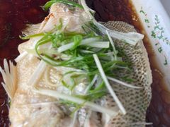 -云中小雅