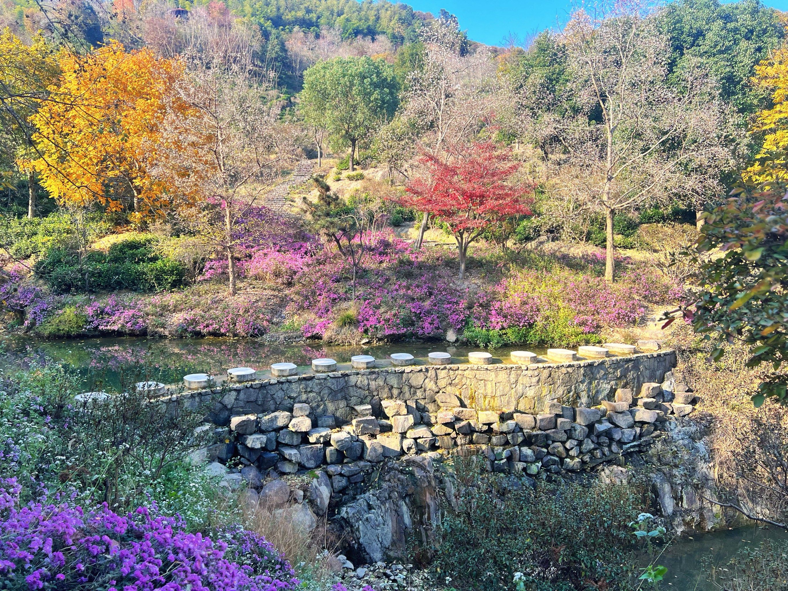 在别处|长兴城山沟