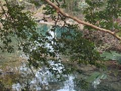 -雁荡山大龙湫景区