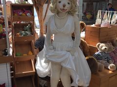 -济州岛泰迪熊博物馆