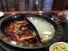 -双合福火锅(河北路店)