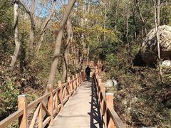 -大岭沟猕猴桃谷风景区