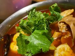 -铁公鸡·四川料理(天环广场店)