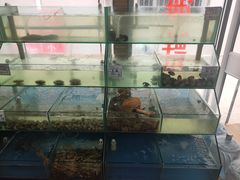 水产区-雅逸居海鲜小厨