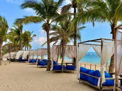 -精酿农场Brew Farm·沙漠绿洲餐厅