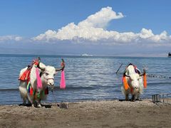 -青海湖国家重点风景名胜区