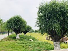 -汉长安城未央宫国家考古遗址公园