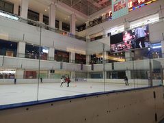 -炫采冰场(红博中央公园商场店)