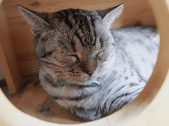 -小时光咖啡馆(北锣鼓巷店)