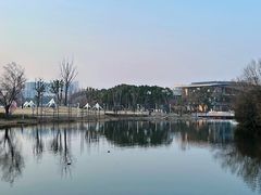 -新江湾城公园
