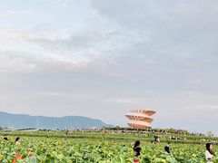 -光明小镇欢乐田园