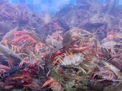 -苏小胖龙虾工坊·私房菜(金鼎华府店)