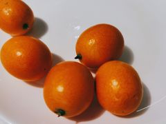-青蓬蒸汽海鲜·深圳老字号·团建聚会(壹方城店)