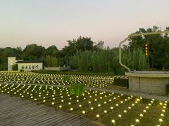 -西溪国家湿地公园