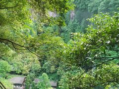 -刘伯温故里景区百丈漈