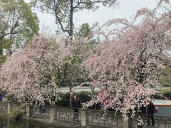 -棠湖公园