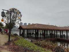 -枫香湖儿童公园