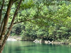 -石台牯牛降景区